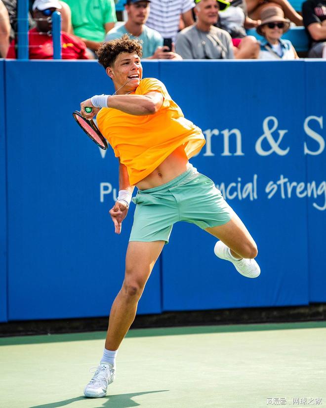 意甲巅峰的 意甲巅峰的